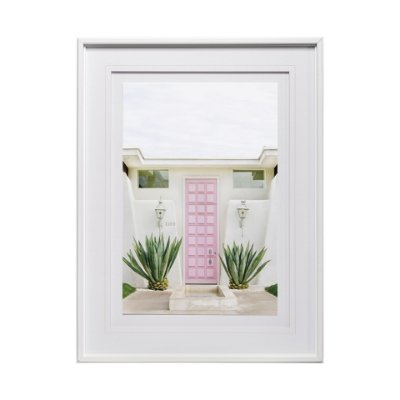13100 - Tropical Pop by Irene Suchoki a Framed Photo Art Print Matted under Glass