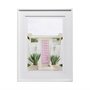 13100 - Tropical Pop by Irene Suchoki a Framed Photo Art Print Matted under Glass