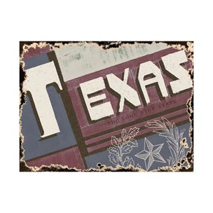 Texas by Alarm a Hand Embellished Textured Canvas