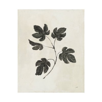 101594-L - Botanical Study III by Julia Purinton a Hand Embellished Textured Canvas
