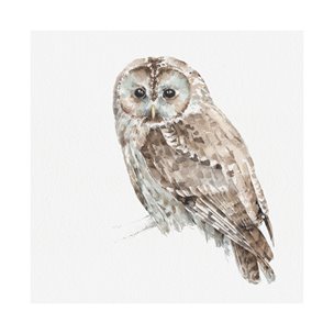 Forest Friends IX (Owl) by Lisa Audit a Hand Embellished Textured Canvas