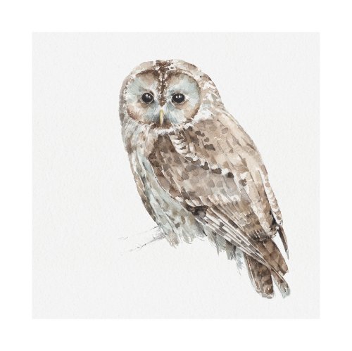 101584-L - Forest Friends IX (Owl) by Lisa Audit a Hand Embellished Textured Canvas