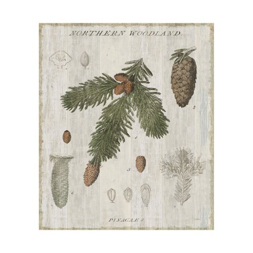 101581-L - Woodland Chart V by Sue Schlabach a Hand Embellished Textured Canvas
