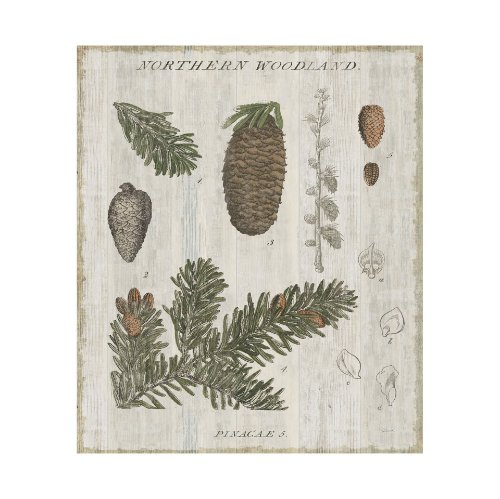 101580-L - Woodland Chart IV by Sue Schlabach a Hand Embellished Textured Canvas