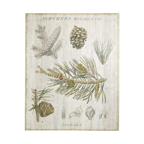 101579-L - Woodland Chart III by Sue Schlabach a Hand Embellished Textured Canvas