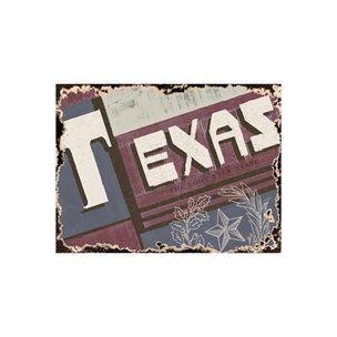 Texas by Alarm a Hand Embellished Textured Canvas