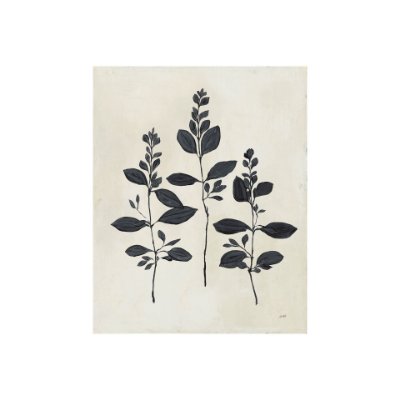 101619-S - Botanical Study IV by Julia Purinton a Hand Embellished Textured Canvas