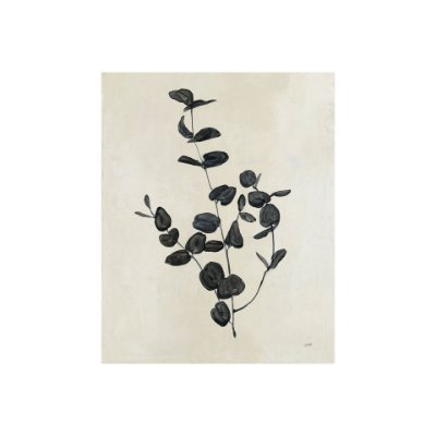 101593-S - Botanical Study II by Julia Purinton a Hand Embellished Textured Canvas