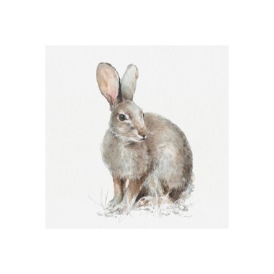 101583-S - Forest Friends VIII (Hare) by Lisa Audit a Hand Embellished Textured Canvas