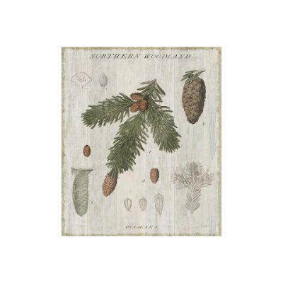 101581-S - Woodland Chart V by Sue Schlabach a Hand Embellished Textured Canvas