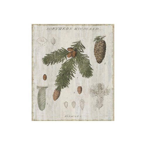 101581-S - Woodland Chart V by Sue Schlabach a Hand Embellished Textured Canvas