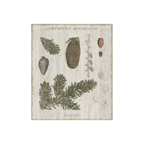 101580-S - Woodland Chart IV by Sue Schlabach a Hand Embellished Textured Canvas