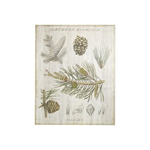 Woodland Chart III by Sue Schlabach a Hand Embellished Textured Canvas