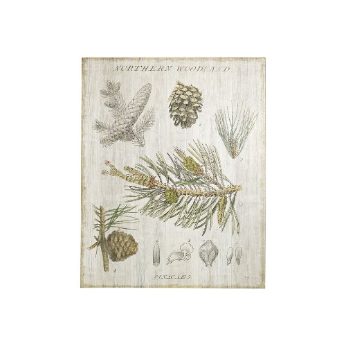 101579-S - Woodland Chart III by Sue Schlabach a Hand Embellished Textured Canvas