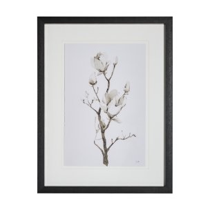 Magnolia II by Gabrielle C a Framed Art Print Matted under Glass