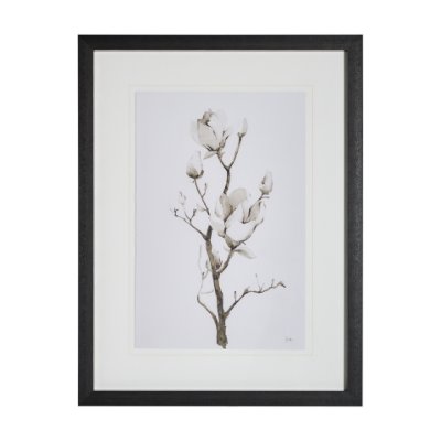 13219 - Magnolia II by Gabrielle C a Framed Art Print Matted under Glass