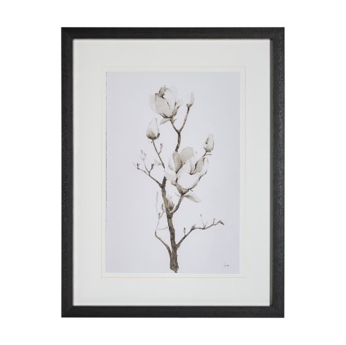13219 - Magnolia II by Gabrielle C a Framed Art Print Matted under Glass