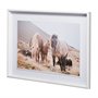 13079 - Horses of Hofn I by Laura Marshall a Framed Photo Art Print Matted under Glass