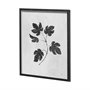 13069 - Botanical Study III by Julia Purinton Hand Embellished Textured Framed Art Print Matted under Glass
