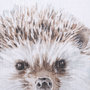 13061 - Forest Friends VII (HedgeHog) by Lisa Audit Hand Embellished Framed Art Print Matted under Glass