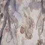 13089 - Casual Shade I by Samuel Dixon a Hand Embellished Textured Framed Art Print Matted under Glass