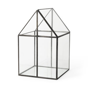 Sikes (Large) 10L x 10W x 16H Hut Terrarium W/Glass Base