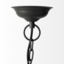 67308 - Camila (40"x31") Black Metal Mesh-Style Four Bulb Chandelier 