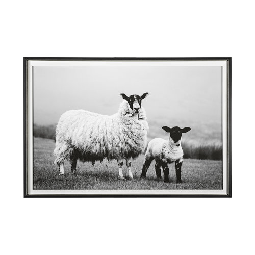 13348 - Islay Sheep I by Laura Marshall a Framed Photo Art Print Matted under Glass