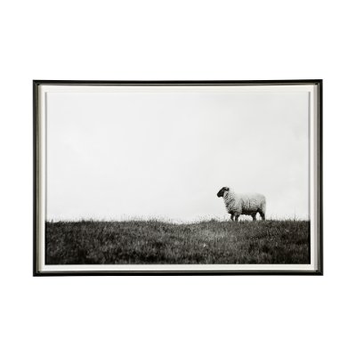 13349 - Islay Sheep II by Laura Marshall a Framed Photo Art Print Matted under Glass