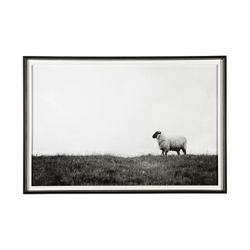 13349 - Islay Sheep II by Laura Marshall a Framed Photo Art Print Matted under Glass