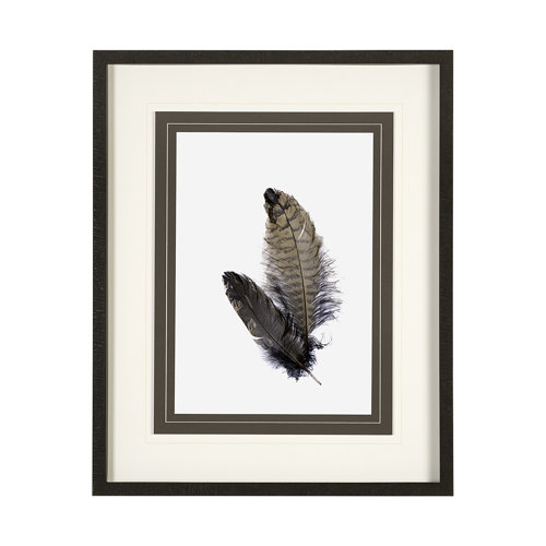 13352 - Feathered Friends by Nancy Crowell a Framed Art Print Matted under Glass