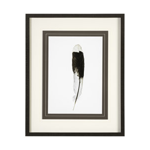 Flying solo by Nancy Crowell a Framed Art Print Matted under Glass