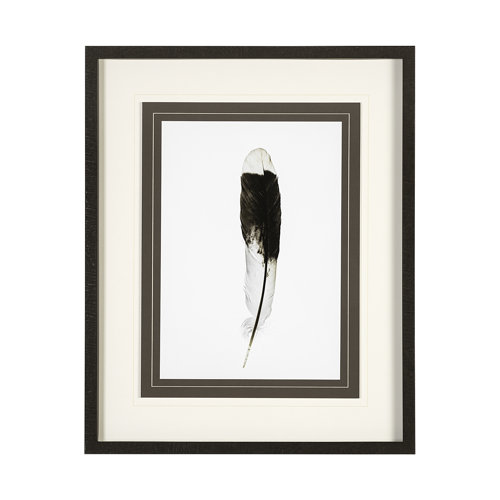 13353 - Flying solo by Nancy Crowell a Framed Art Print Matted under Glass