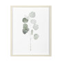 13365 - Soft Eucalyptus Branch I by Emma Scarvey Hand Embellished Framed Art Print Matted under Glass