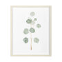 13366 - Soft Eucalyptus Branch II by Emma Scarvey Hand Embellished Framed Art Print Matted under Glass