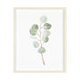 13367 - Soft Eucalyptus Branch III by Emma Scarvey Hand Embellished Framed Art Print Matted under Glass