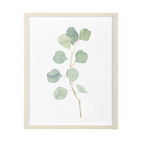 13368 - Soft Eucalyptus Branch IV by Emma Scarvey Hand Embellished Framed Art Print Matted under Glass