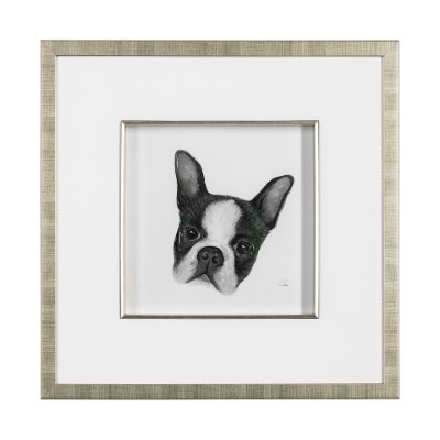 13375 - Floyd (Boston Terrier 1) by Mercana Studio Hand Embellished Framed Art Print Matted under Glass