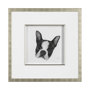 13375 - Floyd (Boston Terrier 1) by Mercana Studio Hand Embellished Framed Art Print Matted under Glass