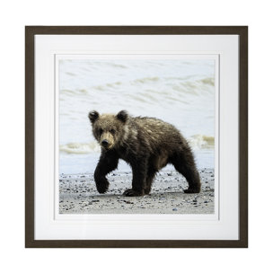Curious Cub by Wink Gaines a Hand Embellished Textured Framed Art Photograph Matted under Glass