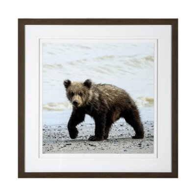 13403 - Curious Cub by Wink Gaines a Hand Embellished Textured Framed Art Photograph Matted under Glass