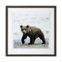13403 - Curious Cub by Wink Gaines a Hand Embellished Textured Framed Art Photograph Matted under Glass