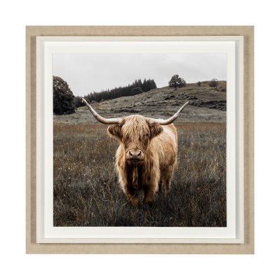 13416 - Bernie by Assaf Frank a Framed Photo Art Print Matted under Glass