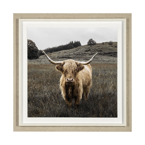 13416 - Bernie by Assaf Frank a Framed Photo Art Print Matted under Glass