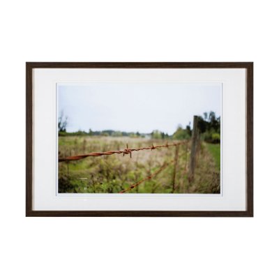 13421 - Barbed Wire by Katelyn Mostert a Framed Photo Art Print Matted under Glass