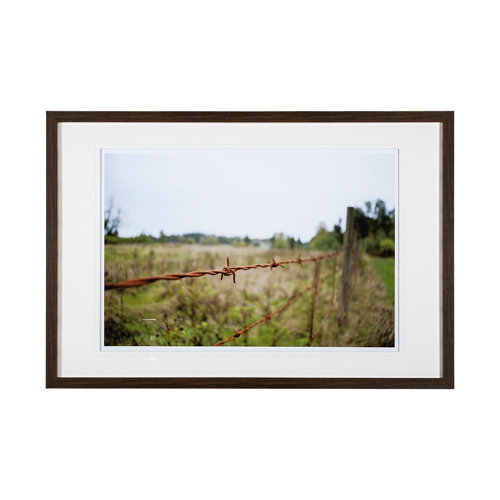 13421 - Barbed Wire by Katelyn Mostert a Framed Photo Art Print Matted under Glass