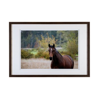 13422 - Charlie by Katelyn Mostert a Framed Photo Art Print Matted under Glass