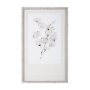 13423 - Summer Cotton III by Chris Paschke a Hand Embellished Textured Framed Art Print Matted under Glass