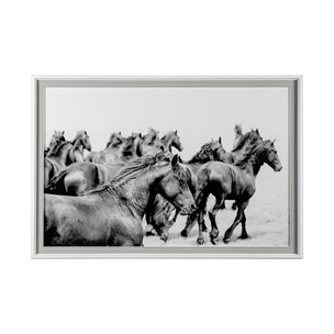 All Together by Irene Suchocki a Framed Photo Art Print Matted under Glass