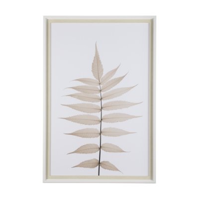 13440 - Lithe Leaves by Assaf Frank a Framed Art Print Matted under Glass